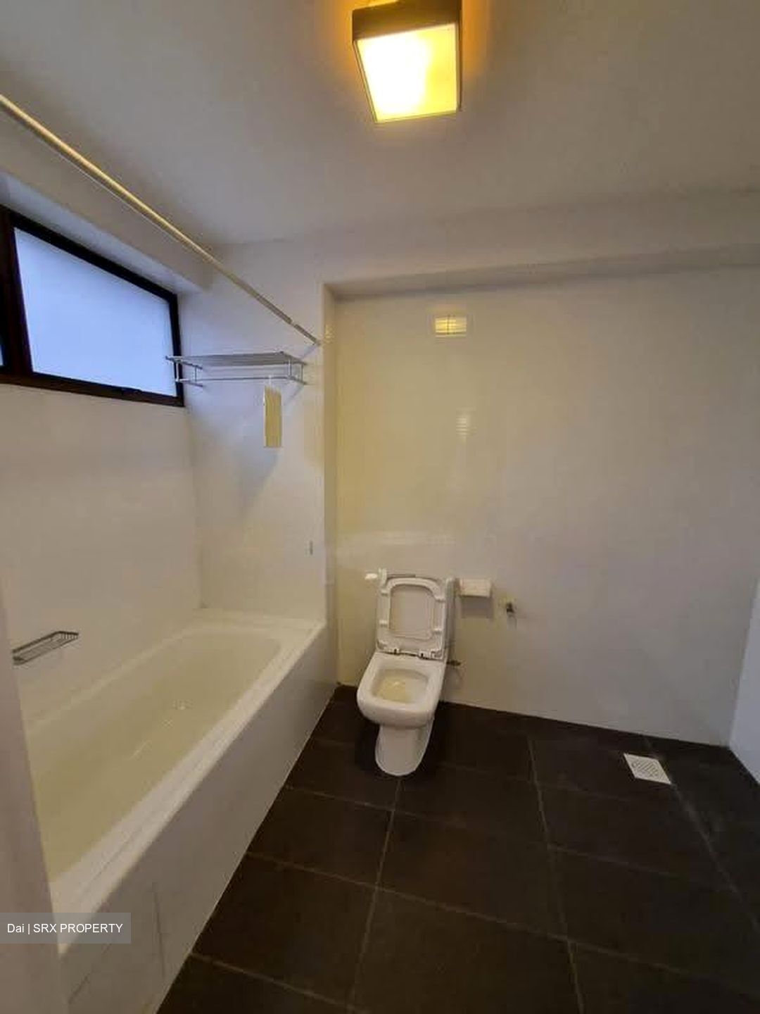 The Cairnhill (D9), Condominium #632484651